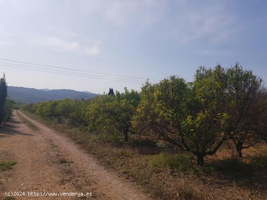 FINCA EN LA GALERA CON AGUA Y CASA DE  15m2 - TARRAGONA