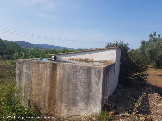 FINCA EN LA GALERA CON AGUA Y CASA DE  15m2 - TARRAGONA