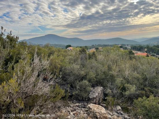 TERRENO EN MIRADOR DEL PENEDES - TARRAGONA