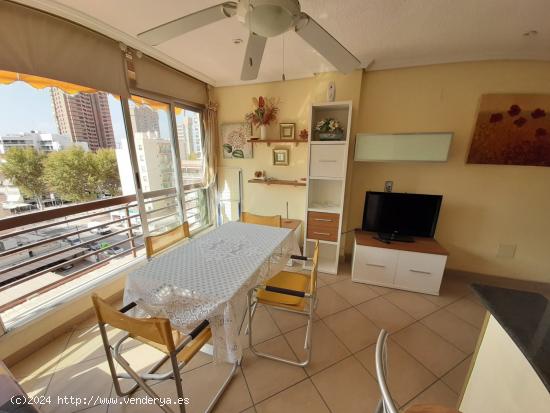 Apartamento en playa Levante Plaza Triangular - Centro www.inmobiliarialesdunes.com - ALICANTE