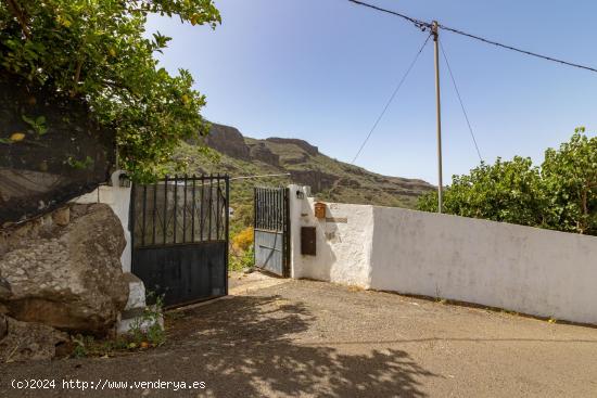 Maravillosa casa terrera ubicada en la zona de Tenteniguada - LAS PALMAS