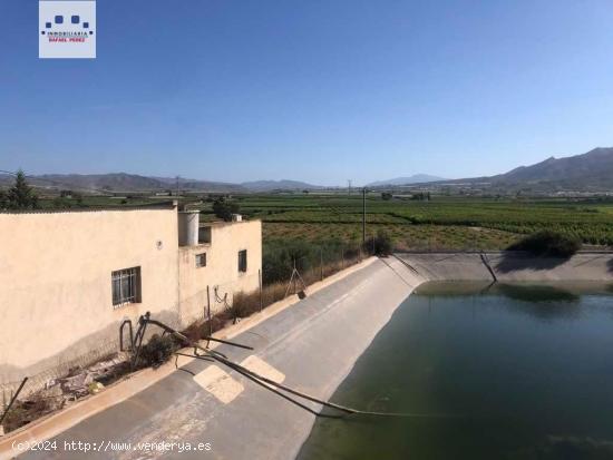 Venta Finca 17.500 mts con Casa Aperos y Balsa Riego - MURCIA