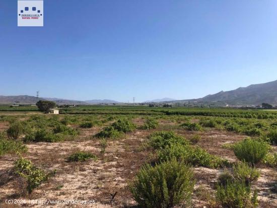 Venta Finca 17.500 mts con Casa Aperos y Balsa Riego - MURCIA