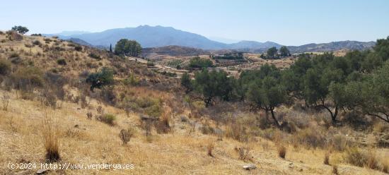 TERRENO CON VISTAS PANORÁMICAS EN VALTOCADO - MALAGA