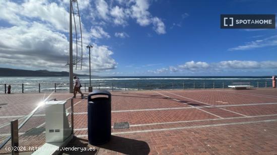 Estudio en Las Palmas de Gran Canaria - LAS PALMAS