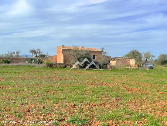 Finca rústica de 22.285 m2 con vivienda a reformar en Campos - BALEARES