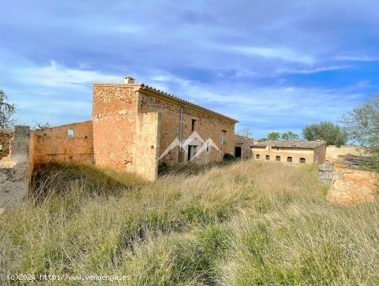 Finca rústica de 22.285 m2 con vivienda a reformar en Campos - BALEARES