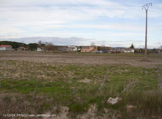 SE VENDE SUELO URBANIZABLE RESIDENCIAL EN ALDEAMAYOR DE SAN MARTIN - VALLADOLID