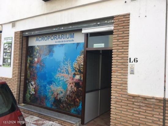  Alquiler de local comercial en La Zubia. - GRANADA 