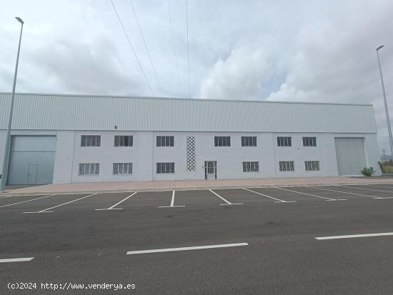 Nave de 1800m con oficinas y licencia de almacén - CASTELLON