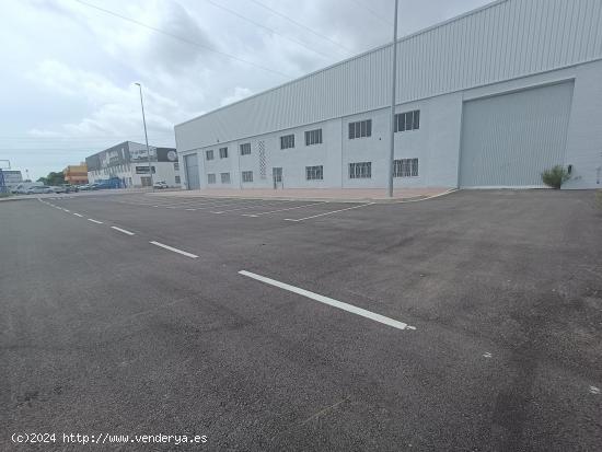 Nave de 1800m con oficinas y licencia de almacén - CASTELLON