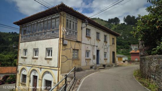 VENTA DE CASA RURAL CON FINCA Y CUADRA A REHABILITAR EN CANDAMO, ASTURIAS. A 20 KM DEL MAR. - ASTURI