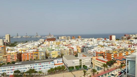 Se Vende en Las Palmas de Gran Canaria - LAS PALMAS