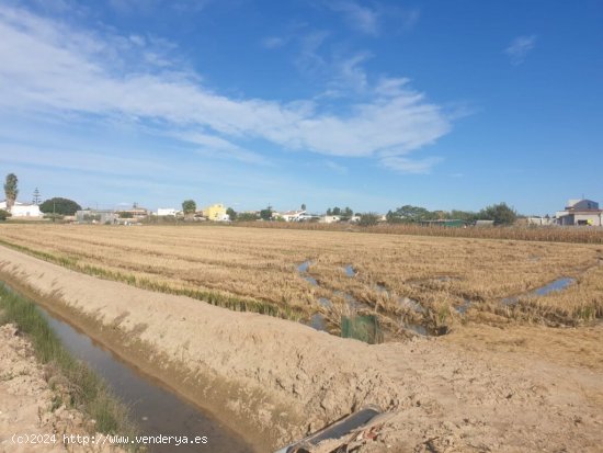  venta de 2 parcelas en SANT JAUME D ENVEJA 