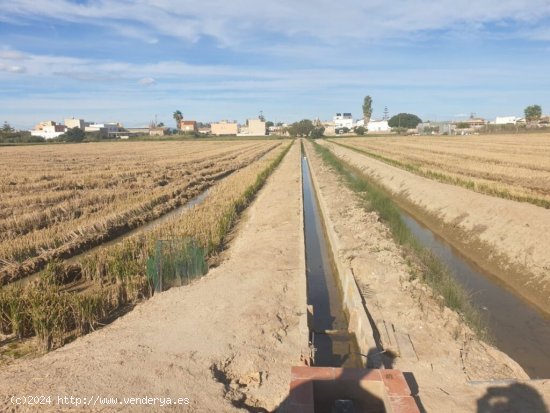 venta de 2 parcelas en SANT JAUME D ENVEJA