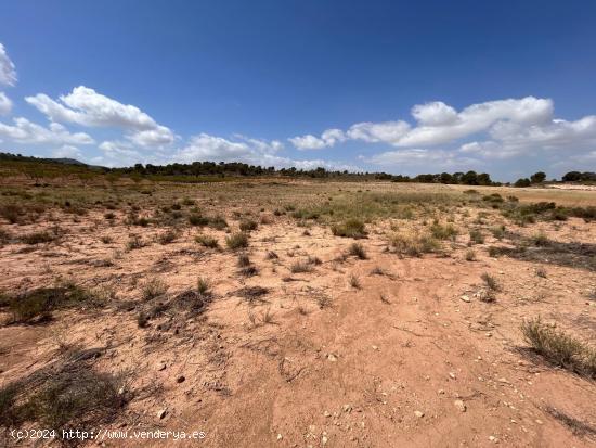  Terreno Jumilla zona Paraje Chamaleta - MURCIA 