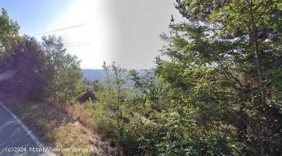 SE VENDE PARCELA RÚSTICA CON VISTAS SOBRE EL RÍO - LEON