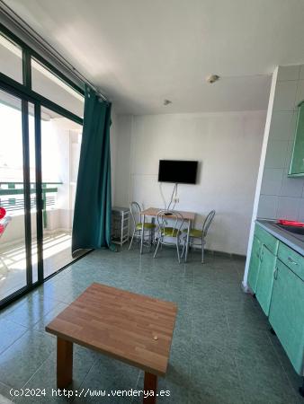 Apartamento con bonitas vistas en Playa del Inglés - LAS PALMAS