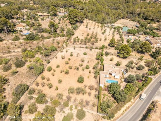 Terreno agrario  de 7.000m2 en Calvia con pozo propio, Mallorca - BALEARES