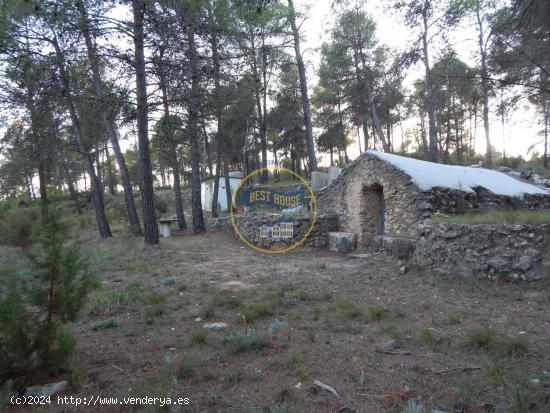 AMPLIO TERRENO CON REFUGIO, ASEO Y POZO DE AGUA NATURAL EN LA SIERRA MARIOLA DE BOCAIRENT (VALENCIA)