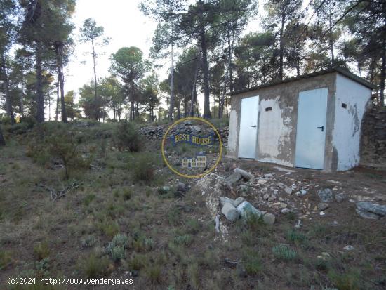 AMPLIO TERRENO CON REFUGIO, ASEO Y POZO DE AGUA NATURAL EN LA SIERRA MARIOLA DE BOCAIRENT (VALENCIA)