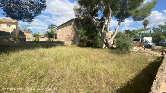 Terreno urbano en Casa Blanca - BALEARES