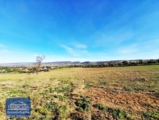 FINCA RUSTICA  DE 34.619M² EN ARCOS DE LA FRONTERA - CADIZ