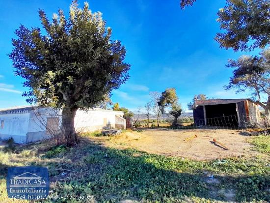 FINCA RUSTICA  DE 34.619M² EN ARCOS DE LA FRONTERA - CADIZ