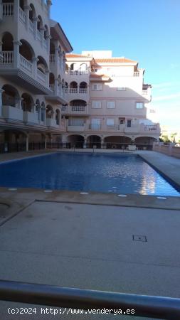 PISO EN ALQUILER EN RESIDENCIAL PORTOFINO, ALMERIMAR - ALMERIA