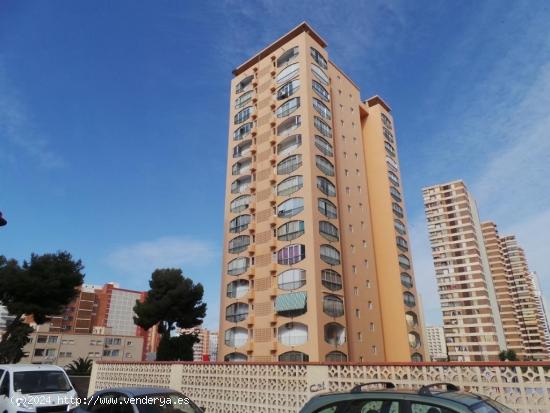 Piso en Benidorm - ALICANTE