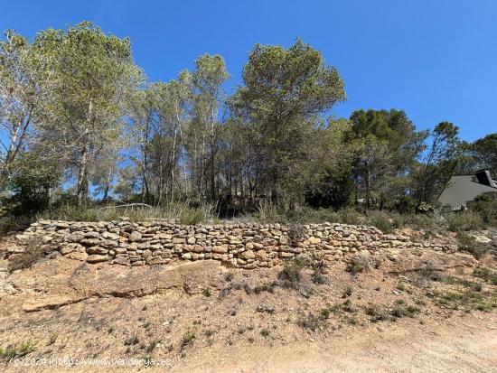 PARCELA EN VALLES ALTOS DE 1283 METROS - BARCELONA