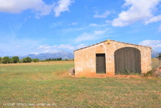 Finca rústica con caseta de campo y  magnificas vistas a la Serra de Tramuntana en Llubi - BALEARES