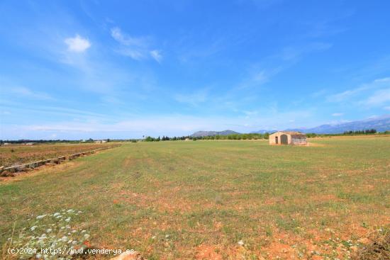 Finca rústica con caseta de campo y  magnificas vistas a la Serra de Tramuntana en Llubi - BALEARES