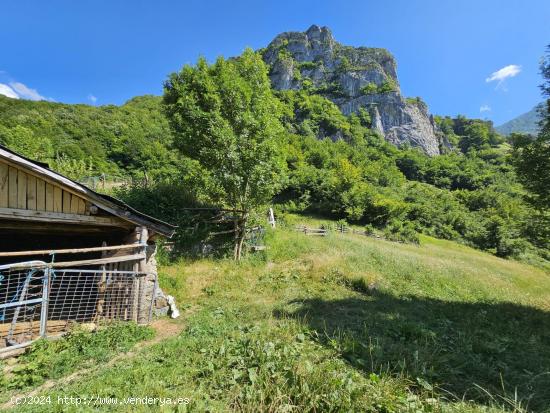 Se Vende en Felechosa - ASTURIAS