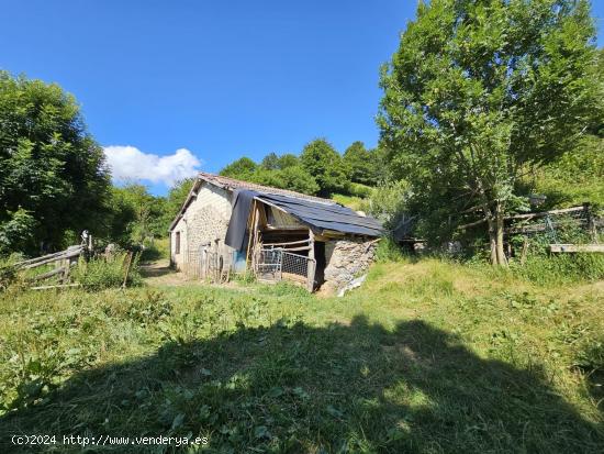 Se Vende en Felechosa - ASTURIAS