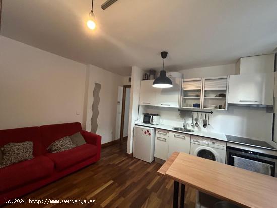 SE ALQUILA APARTAMENTO-ESTUDIO EN GRANADA - GRANADA