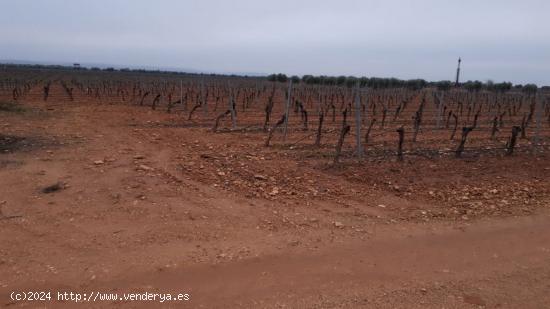 Terreno en venta en camino del Moral s/n - CIUDAD REAL