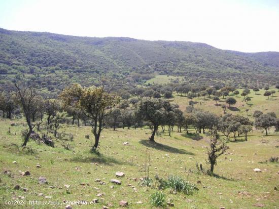 Terreno en venta en carretera Veredas-Valdeazogues, km 7 - CIUDAD REAL