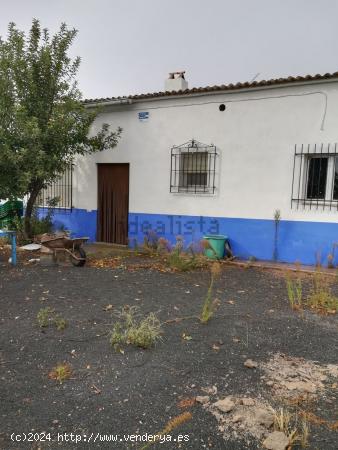 Terreno en venta en Arenales, 1 - CIUDAD REAL