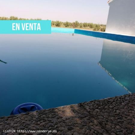 Terreno en venta en camino las matas s/n - CIUDAD REAL