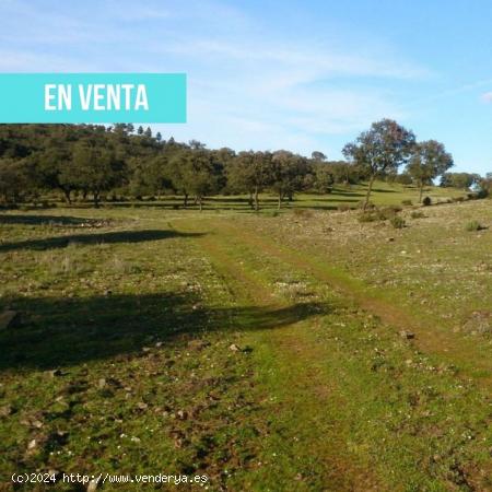  Terreno en venta en finca navapeones s/n - CIUDAD REAL 