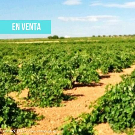 Terreno en venta en carretera N 420 s/n - CIUDAD REAL