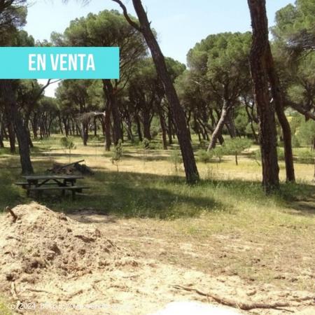  Terreno en venta en Piedralá, km 1 - CIUDAD REAL 