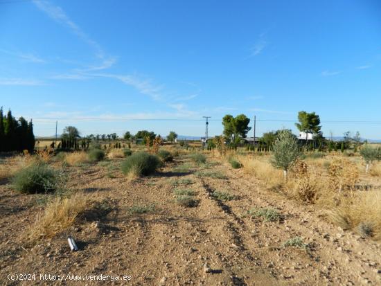 Terreno en venta en N-420, km 320 - CIUDAD REAL