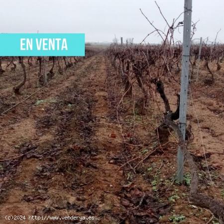  Terreno en venta en N-401, km 4 - CIUDAD REAL 