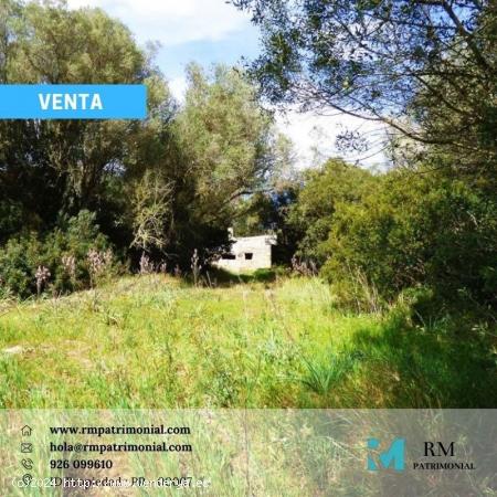 Finca de Monte Mediterráneo y Caza menor - Horcajo de los Montes. - CIUDAD REAL