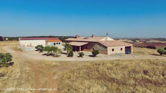  Venta de finca agropecuaria en la provincia de Ciudad Real - CIUDAD REAL 