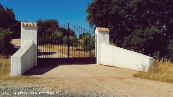 Venta de finca agropecuaria en la provincia de Ciudad Real - CIUDAD REAL