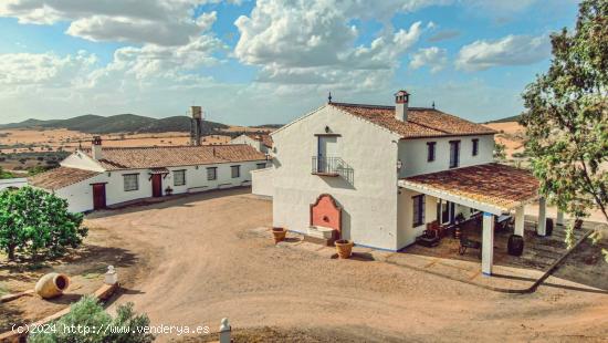 Venta de finca cinegética y agrícola en Ciudad Real - CIUDAD REAL