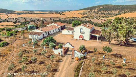 Venta de finca cinegética y agrícola en Ciudad Real - CIUDAD REAL